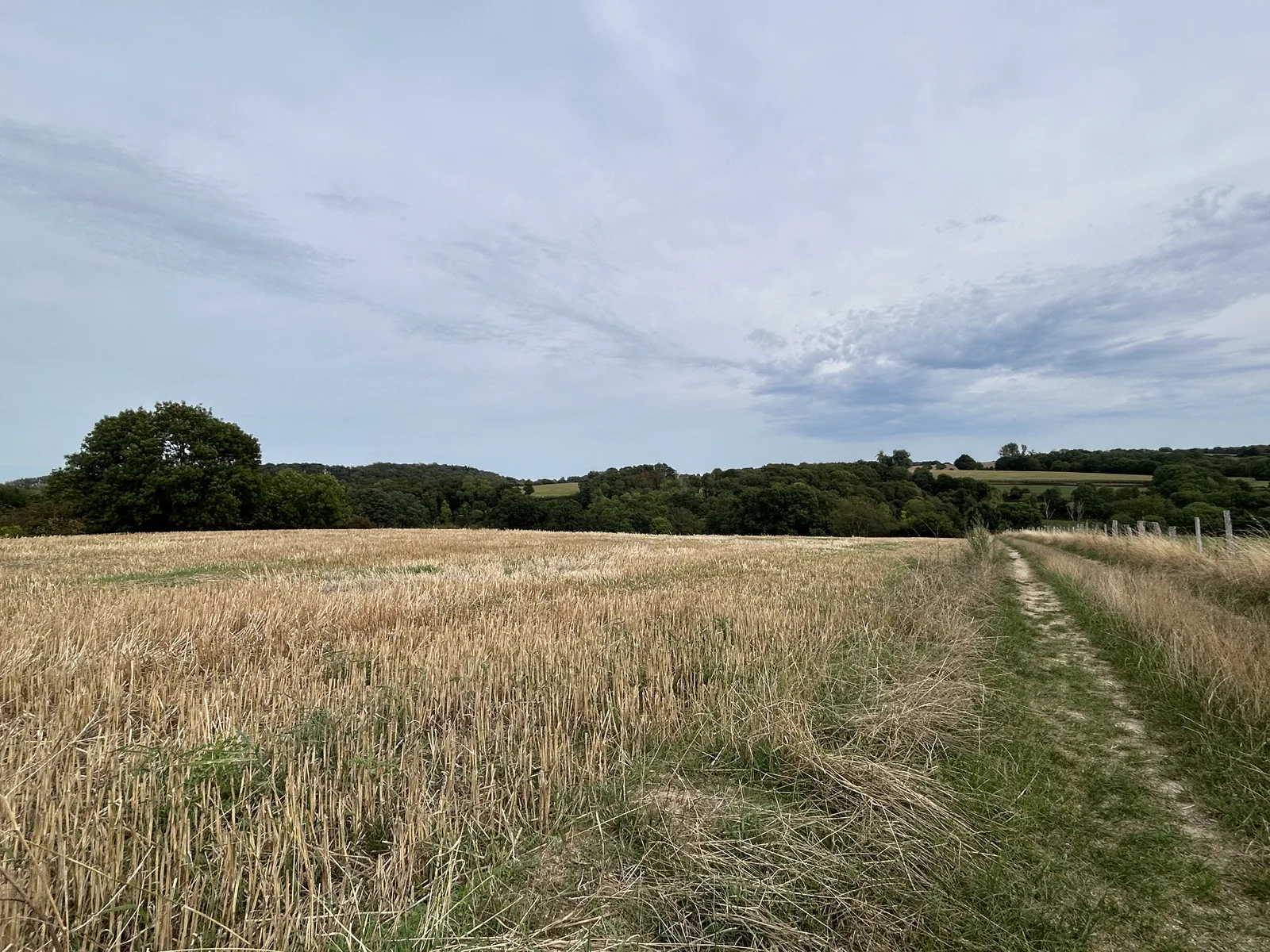 Wandelpad langs een veld in het Zuid-Limburgse landschap